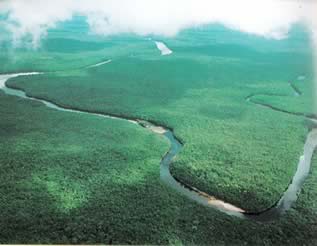 Река начинается глубоко в джунглях.